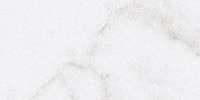 Керамогранит Ariana Epoque White Statuario Nat, PF60005127, 11,5x23 см