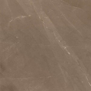 Керамогранит Emil Ceramica Marmore Canova marrone, 593T6P, 59x59 см