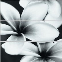 Панно Mei Pret a Porte Universal glass flowers, UG2U093D, 75x75 см
