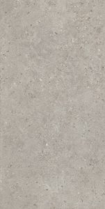 Риккарди Керамогранит серый светлый матовый обрезной SG519920R 60х119,5